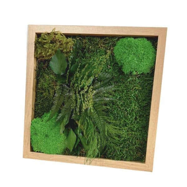 Tableau végétal stabilisé Akiko 30x30 cm