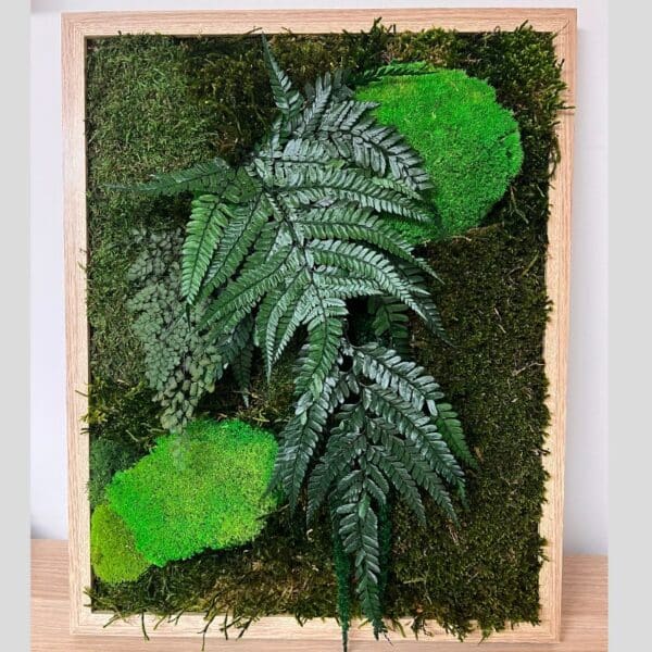 Tableau végétal stabilisé Kimiko 50x40 cm