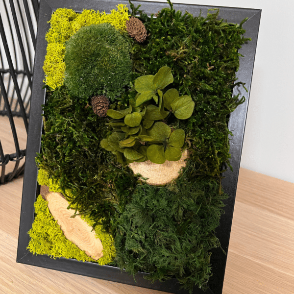 ableau végétal stabilisé 18x24 cm