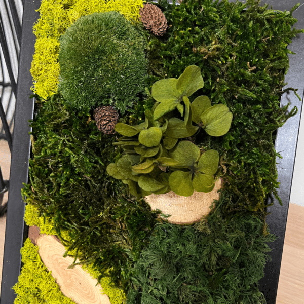 ableau végétal stabilisé 18x24 cm